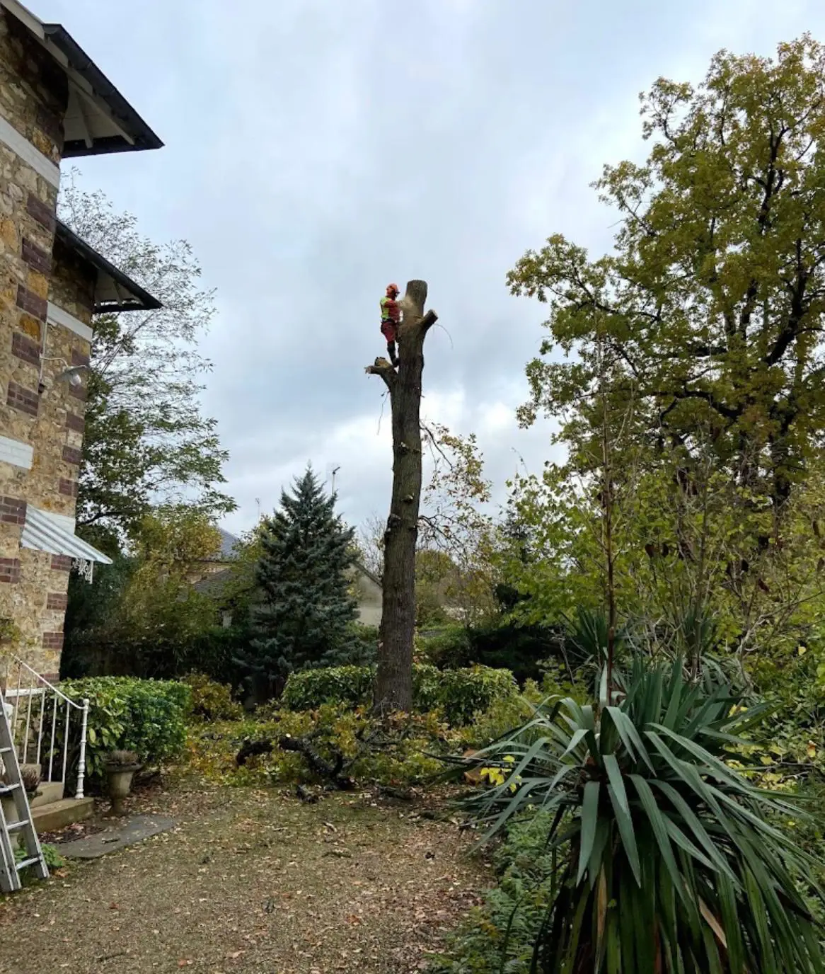 Réalisation Réalisation