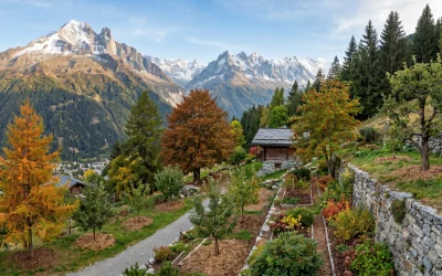 Entretenir ses arbres en montagne : conseils pratiques
