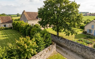 Arbres et voisinage : les règles à respecter en France