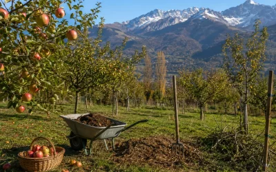 Comment entretenir un arbre fruitier selon la saison ?
